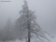 Fotos/AUT/Steiermark/Grazer Bergland/Rote Wand/Umrundung/